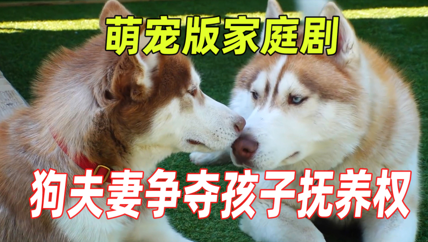 奥i门最快开奖免费资料,雁回时 非遗螺钿,决策资料解释落实_铂金版V15.65