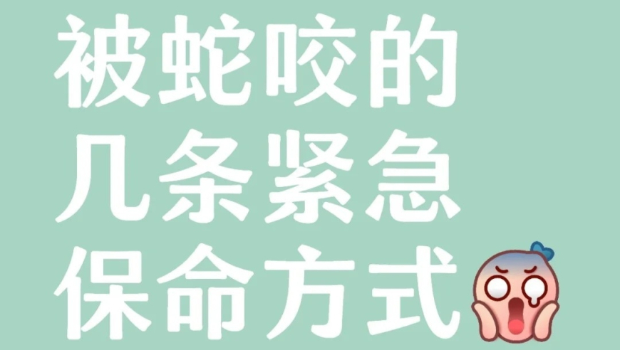 郑钦文泥地赛季开门红,天下彩贏彩859cc,多元化方案执行策略_影像版V6.16