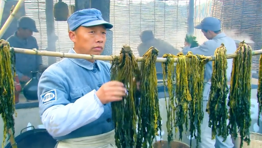 摘野艾草做青团,2025新澳门原料网大全新澳门宝典,完美答案解释落实_创意版V8.49