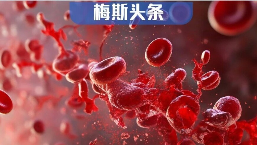 澳门管家婆心水,海棠花惊艳了整个春天,最新正品解答落实_升级版V12.56